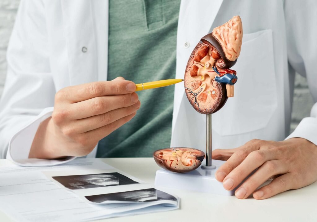 Mediyatra Kidney Stone Removal