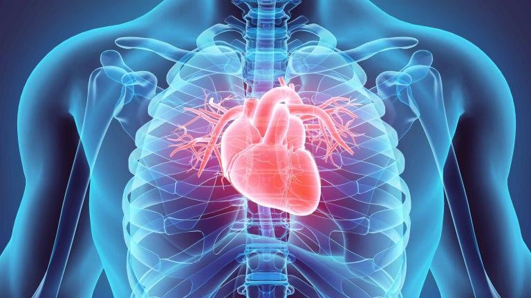 The Role of Stress in Heart Health: Unveiling the Connection Between Mind and Heart